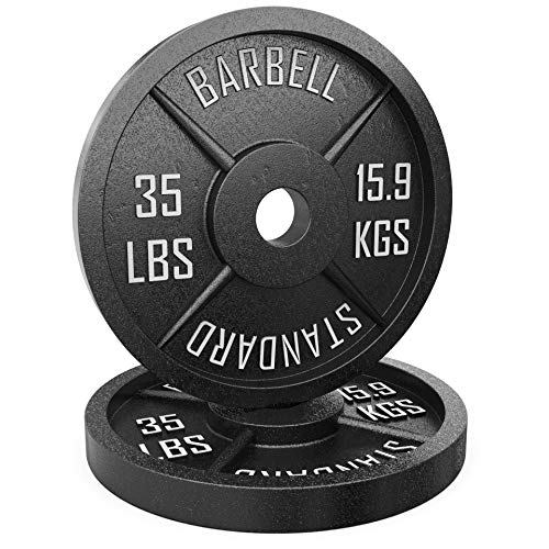 Synergee Metal Weight Plates 35 lbs Pair