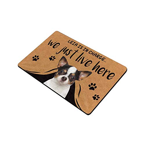 Personalized Pet Doormat - Pet's Name and Picture