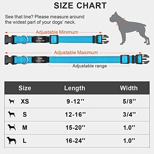 Personalized Reflective Dog Collar with Engraved Name Plate