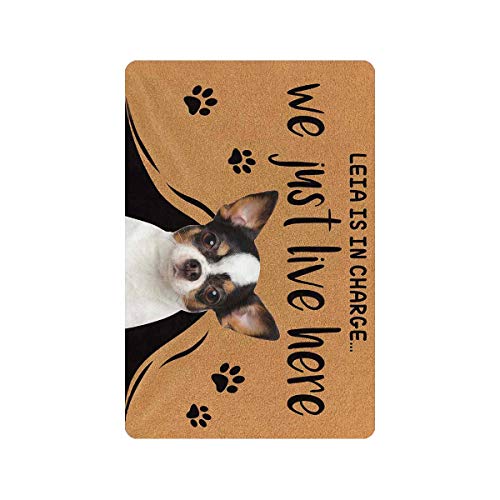 Personalized Pet Doormat - Pet's Name and Picture