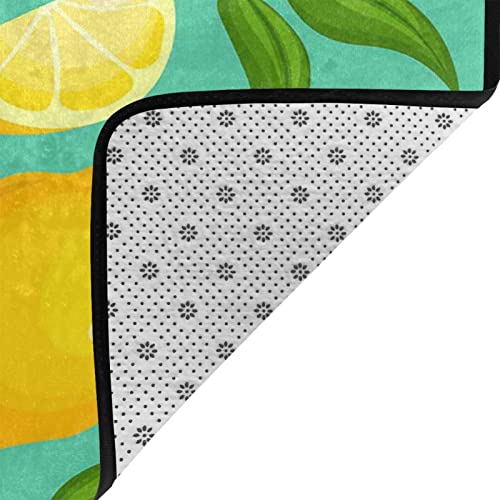 Personalized Non-Slip Pet Doormat for Entryway, Patio 24"x36