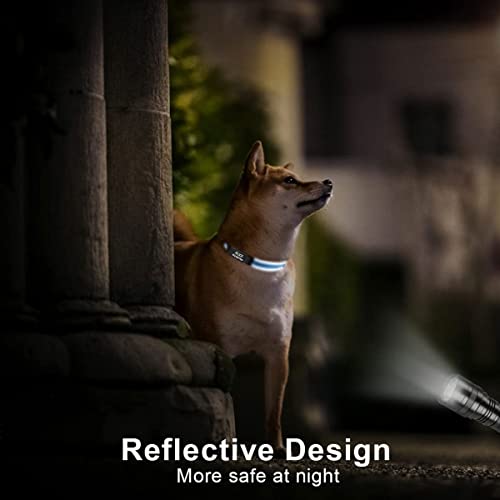 Personalized Reflective Dog Collar with Engraved Name Plate