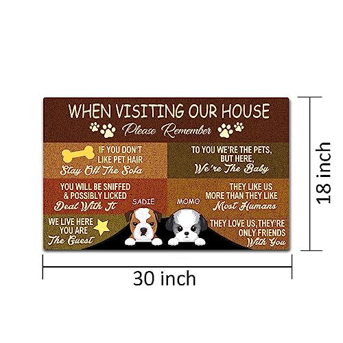Personalized Funny Pet Lover Welcome Mat Indoor/Outdoor Rug