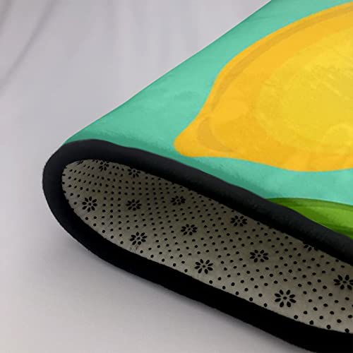 Personalized Non-Slip Pet Doormat for Entryway, Patio 24"x36