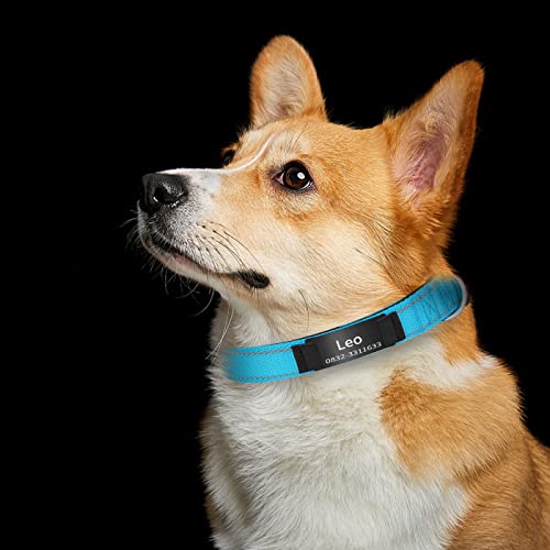 Personalized Reflective Dog Collar with Engraved Name Plate