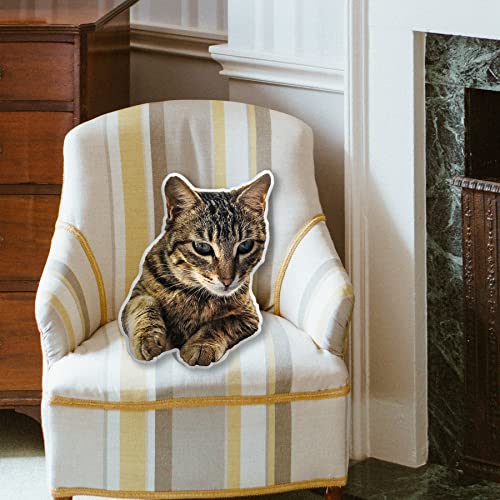 Personalized 3D Pet Pillow with Custom Photo