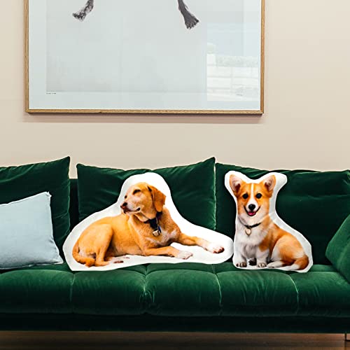 Personalized 3D Pet Pillow with Custom Photo