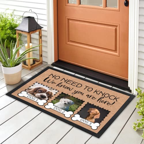 Personalized Dog Door Mat with 3 Photos & Names