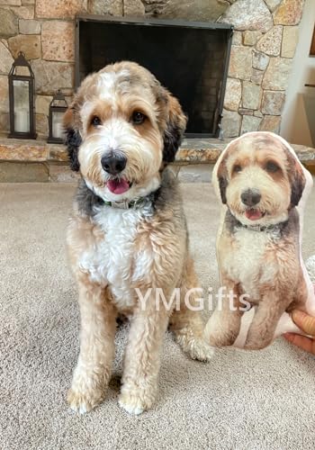 Personalized Pet Portrait Pillow - Dog Memorial (20")