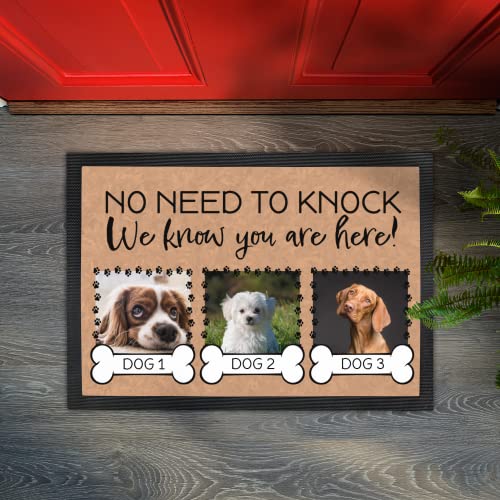 Personalized Dog Door Mat with 3 Photos & Names