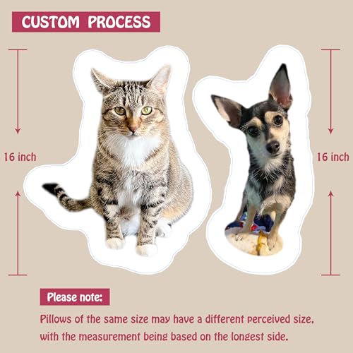 Personalized Pet Pillow with Your Pet's Photo (12")