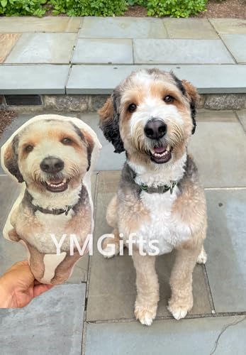 Personalized Pet Portrait Pillow - Dog Memorial (20")