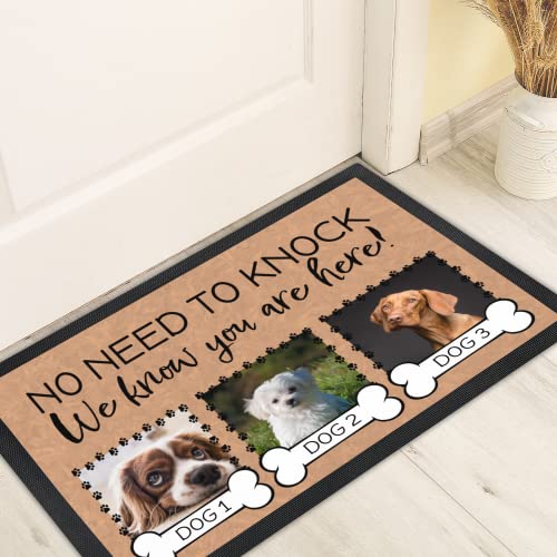 Personalized Dog Door Mat with 3 Photos & Names