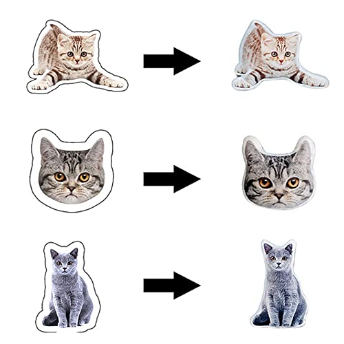 Custom 3D Pet Photo Pillow - Personalized for You