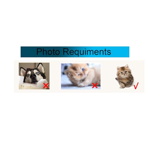 Custom Pet Pillow 3D Shaped with Pet Photo