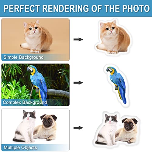 Personalized Pet Photo Pillow - Custom Christmas Gift Idea