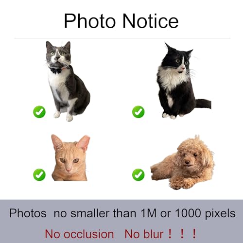 Personalized Pet Photo Pillow Covers - Custom Art Pillow