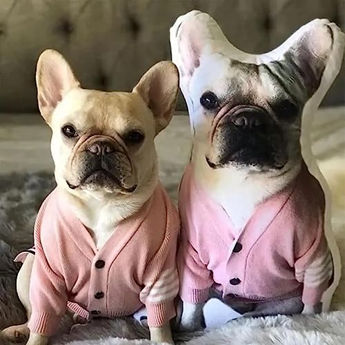 Custom 3D Printed Pet Picture Pillow (8-28 inch)