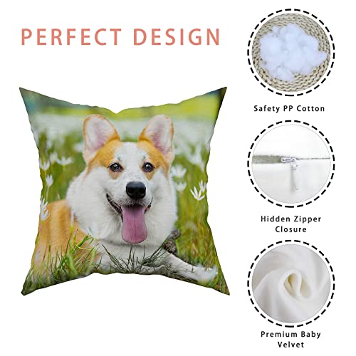 Custom Pet Photo Pillow with Family Portrait Decoration