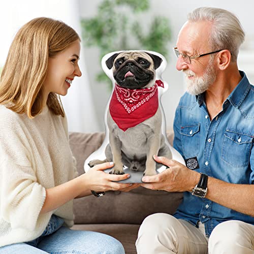 Personalized Custom 3D Dog Throw Pillow - Made in USA