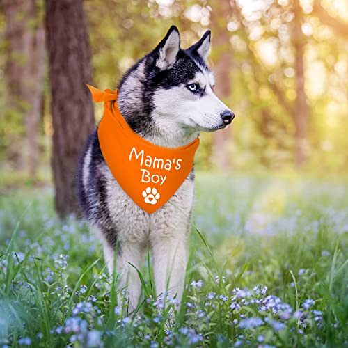 Nibana Personalized Custom Dog Bandana with Icons