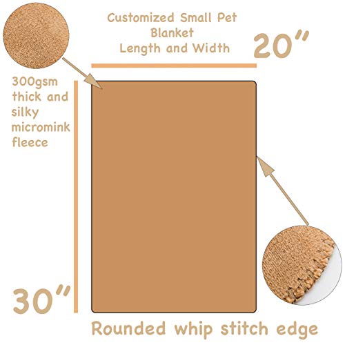 Personalized Cat Blanket for Small Indoor Cats