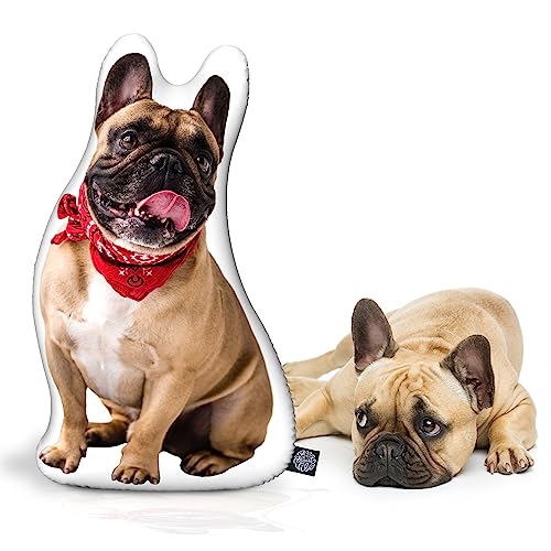 College Dog Shaped Custom Pillow - Personalized Pet Keepsake