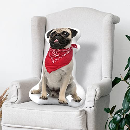 Personalized Custom 3D Dog Throw Pillow - Made in USA