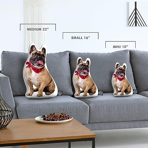 College Dog Shaped Custom Pillow - Personalized Pet Keepsake