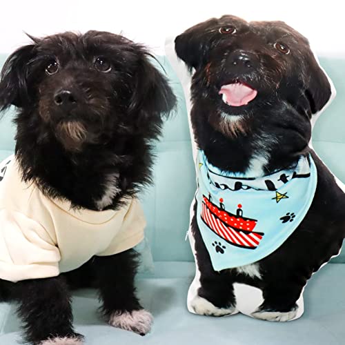 Personalized Pet Pillow Shaped Like Your Dog/Cat Picture