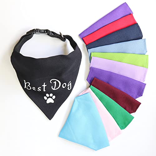 Anita's Personalized Dog Name Bandana for Medium-Large Breeds