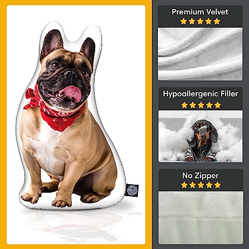 College Dog Shaped Custom Pillow - Personalized Pet Keepsake