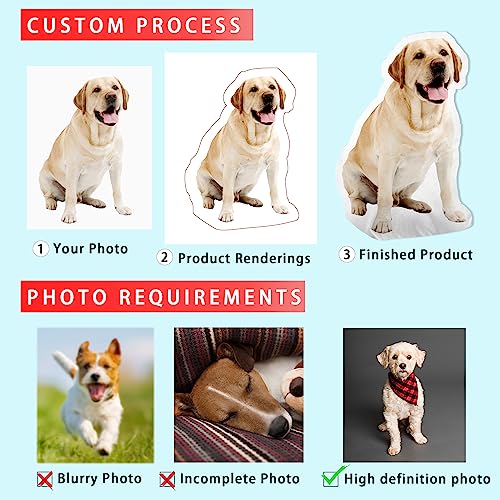 Personalized Custom Pet Pillow with Your Pet's Likeness