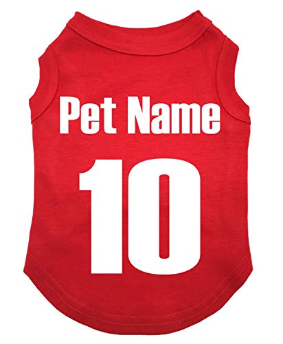 Personalized National Theme Dog Shirt - England Theme