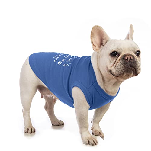 Personalized Custom Pet Shirts with Name/Photo/Logo and Bandanas
