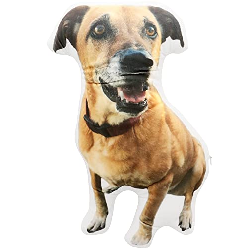 Personalized Pet Pillow Shaped Like Your Dog/Cat Picture