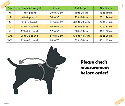 Personalized National Theme Dog Shirt - England Theme