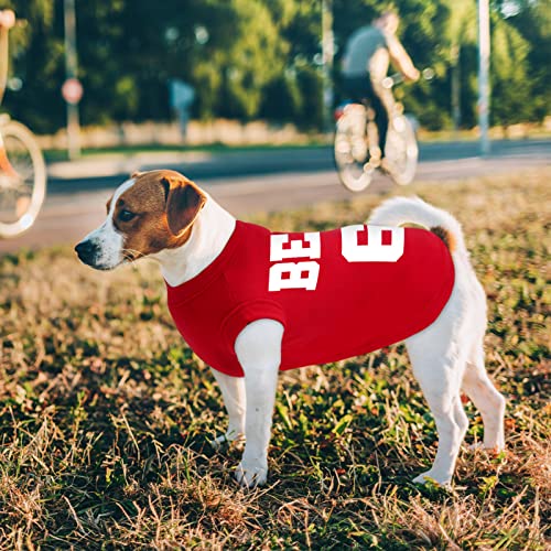 Custom Dog Soccer Jersey with Personalized Name & Number