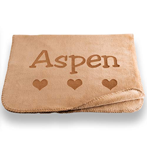 Personalized Dog Blanket in Gray or Beige - Small