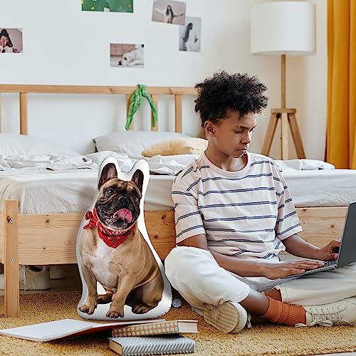 College Dog Shaped Custom Pillow - Personalized Pet Keepsake