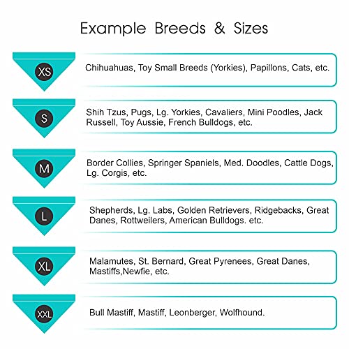 Personalized Dog Bandana for Medium to Large Dogs