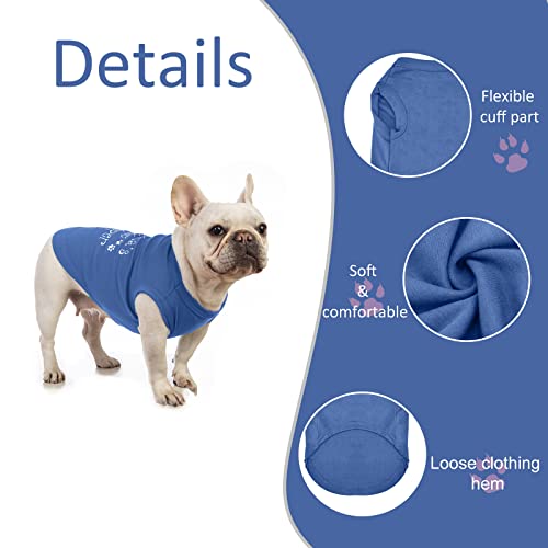 Personalized Custom Pet Shirts with Name/Photo/Logo and Bandanas