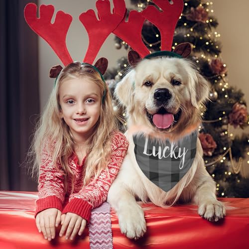 Personalized Dog Bandana with Name for Small Medium Large Dogs and Cats