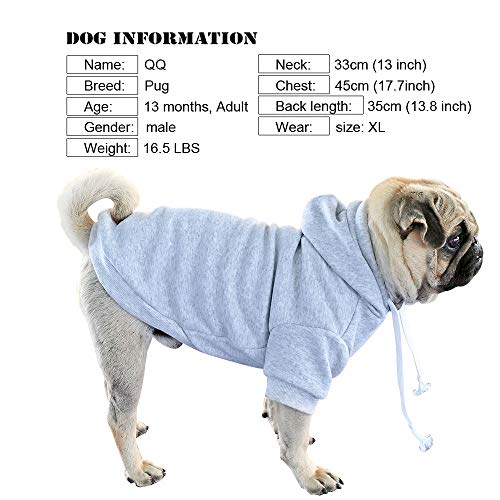 Personalized Dog Hoodie with Name & Number, Custom Pet Clothes