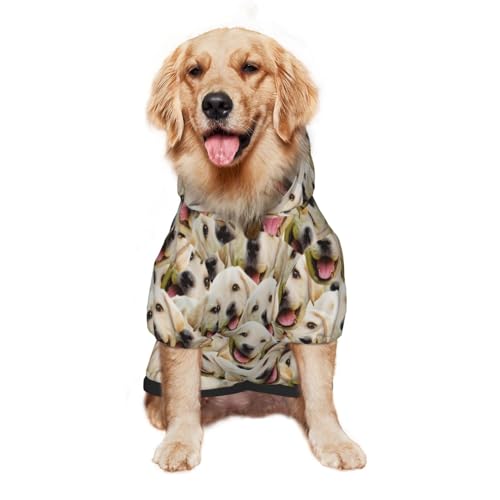 Personalized Dog Hoodies with Custom Name and Photo