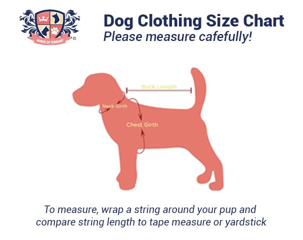 Personalized Lucky Clover Dog Shirt for St. Patrick's Day