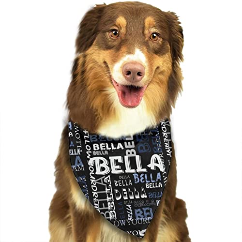 Personalized Pet Bandana with Name and Image Customization