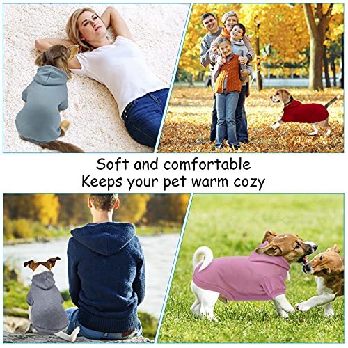 Personalized Dog Hoodie with Custom Text/Image