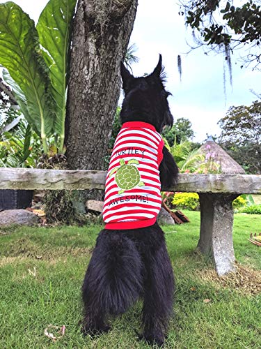 Parisian Pet Turtle Design Tee for XS Dog