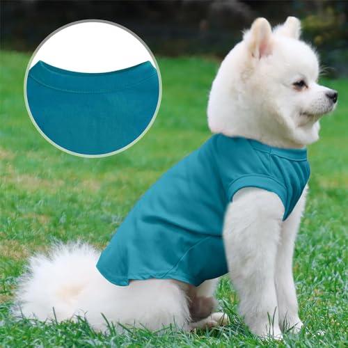 Personalized Dog Shirt Dress with Custom Print, Breathable